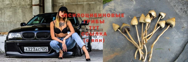 кристаллы Киренск
