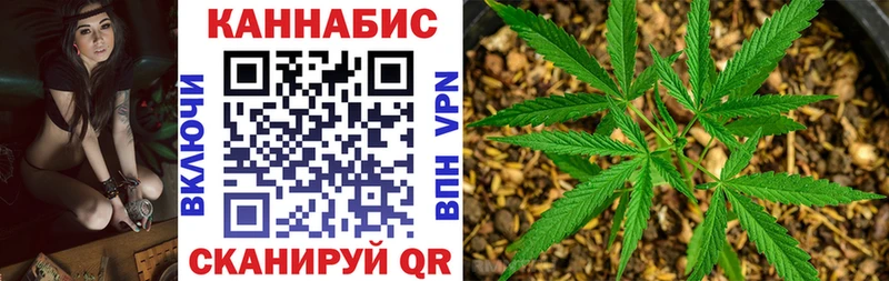 Купить где  Высоковск  МАРИХУАНА план 